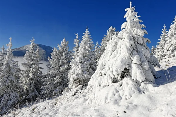 Χειμώνας Στην Πλαγιά Ενός Λόφου Μέσα Ένα Τοπίο Βουνού — Φωτογραφία Αρχείου
