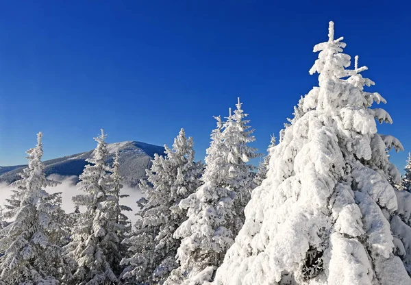 Зима Склоне Холма Горном Пейзаже — стоковое фото