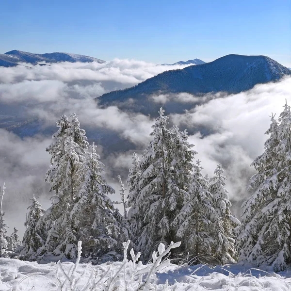 Inverno Uma Encosta Uma Paisagem Montesa — Fotografia de Stock