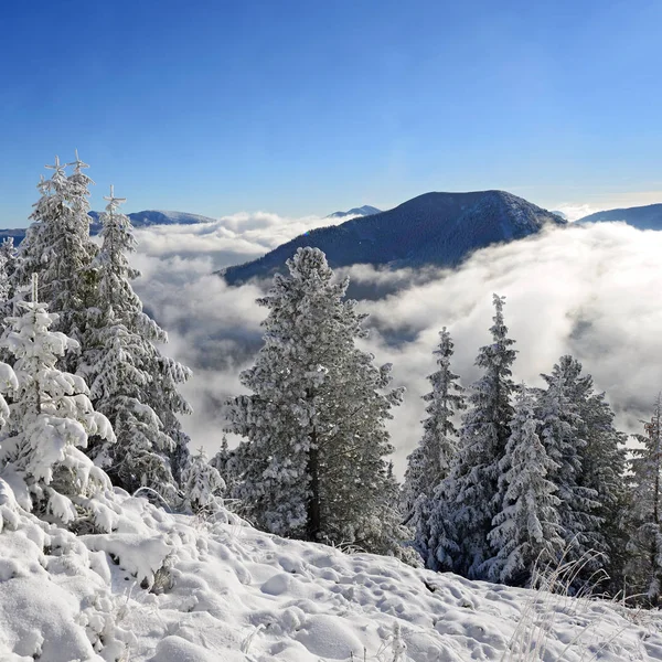 Winter Hillside Mountain Landskap — Stok Foto