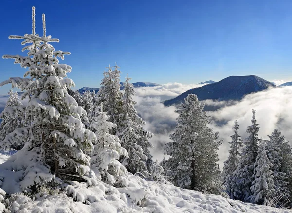 Bir Dağ Manzarası Içinde Bir Yamaca Kış — Stok fotoğraf
