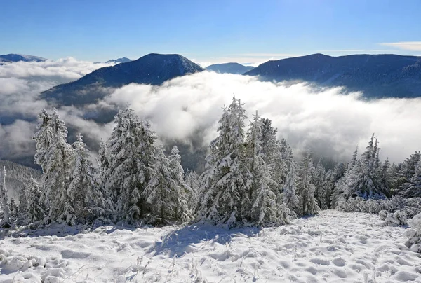 Зима Схилі Пагорба Гірському Пейзажі — стокове фото