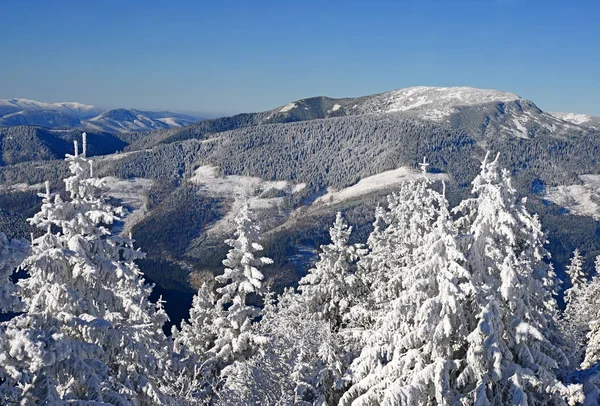 Hiver Sur Une Colline Dans Paysage Montagne — Photo