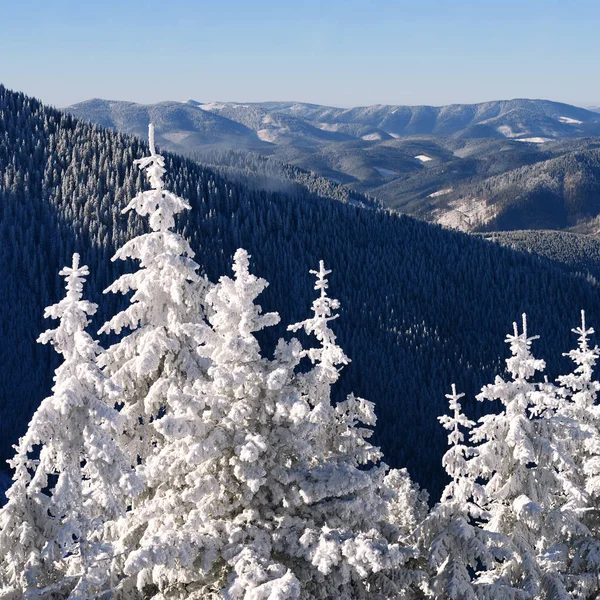 Inverno Uma Encosta Uma Paisagem Montesa — Fotografia de Stock