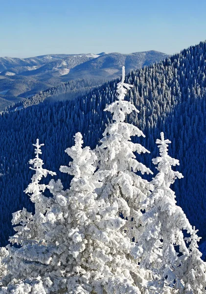 Inverno Una Collina Paesaggio Montano — Foto Stock