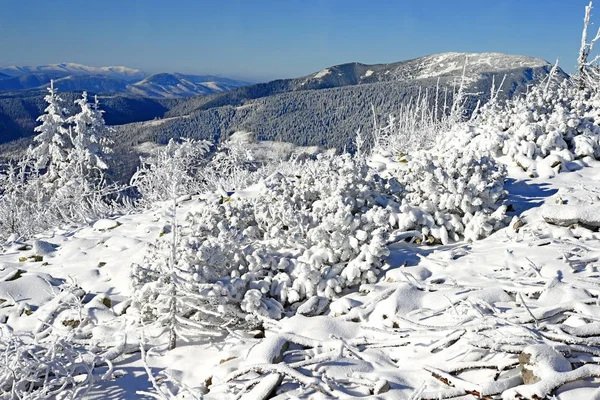 Winter Hillside Mountain Landscape — Stock Photo, Image