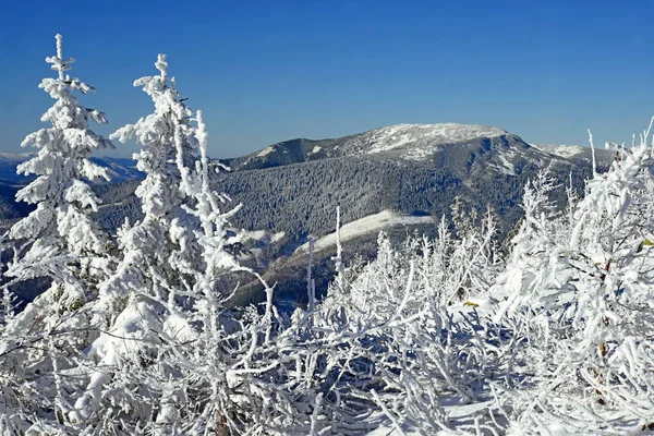 Winter Een Heuvel Een Berglandschap — Stockfoto