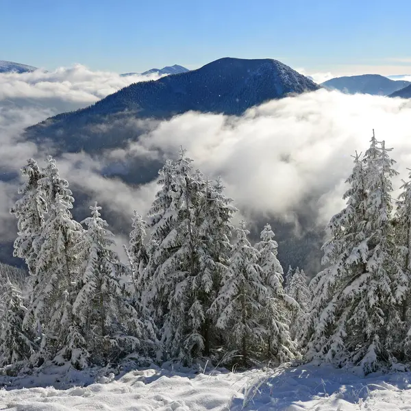 Winter Hillside Mountain Landscape Stock Photo