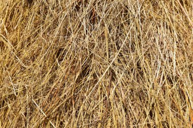 saman balyası, kırsal arka plan 