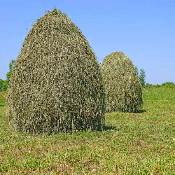 Heno Las Pilas Paisaje Veraniego Rural —  Fotos de Stock