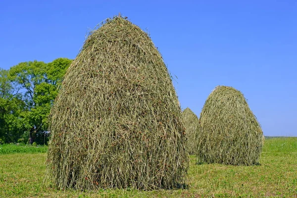 Heno Las Pilas Paisaje Veraniego Rural —  Fotos de Stock