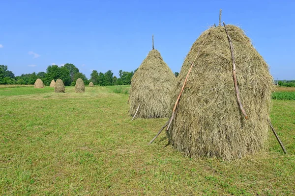 Hay Stacks Summer Rural Landscape — Stock Photo, Image