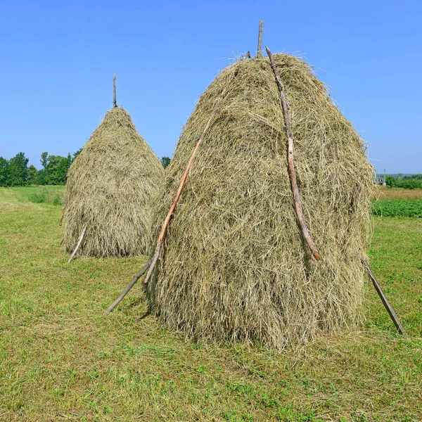 Hay Stapels Een Landelijke Landschap Van Zomer — Stockfoto