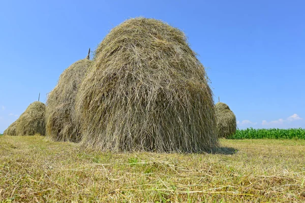 Heno Las Pilas Paisaje Veraniego Rural —  Fotos de Stock