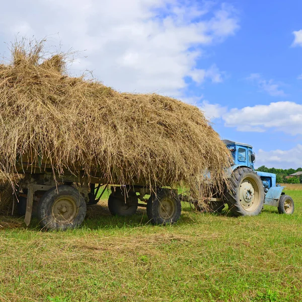 Tractor Carrying Hay Bale Field — Photo