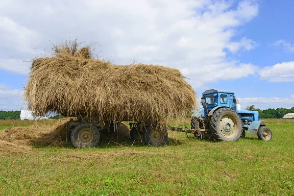 Traktor Transportiert Heuballen Auf Feld — Stockfoto