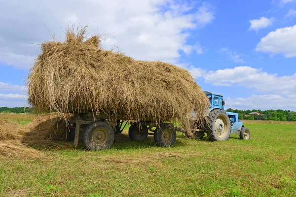 Tractor Carrying Hay Bale Field — 图库照片