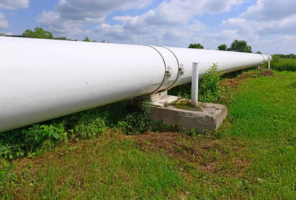 Large White Pipe Field — Stockfoto