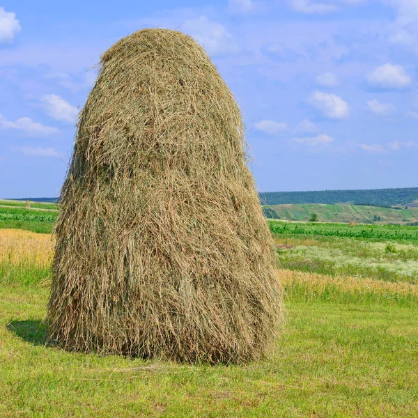 Heu Stapelweise Einer Ländlichen Sommerlandschaft — Stockfoto