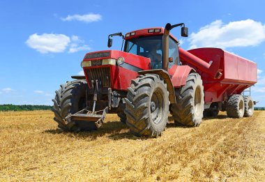 Buğday tanklı traktör römorku buğday tarlasında çalışıyor.