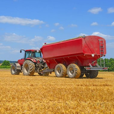 Buğday tanklı traktör römorku buğday tarlasında çalışıyor.