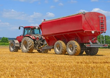 Buğday tanklı traktör römorku buğday tarlasında çalışıyor.
