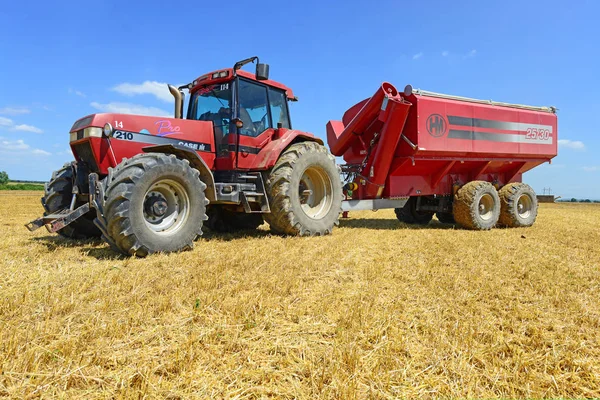 Тракторный Прицеп Зерновым Баком Работающим Пшеничном Поле — стоковое фото