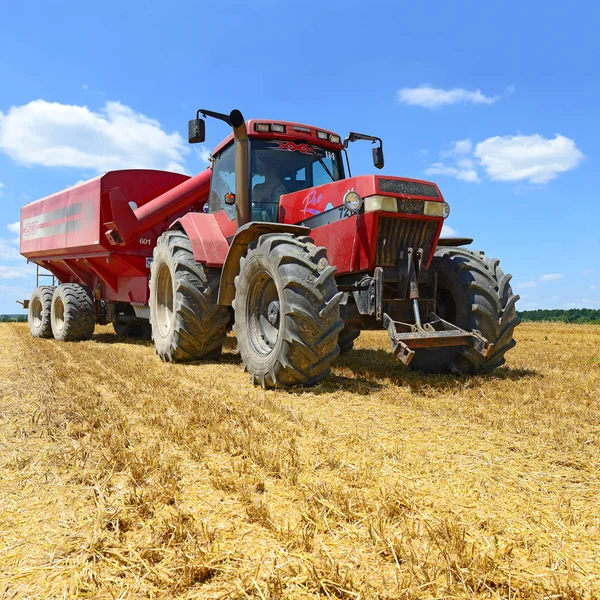 Tractor Trailer Grain Tank Working Wheat Field Stock Picture