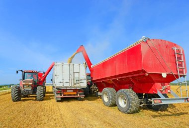 Tahıl hasat traktör römork tahıl tankına aşırı yükleme.