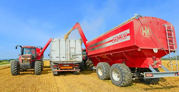 Overloading Grain Harvester Grain Tank Tractor Trailer — Stock Photo, Image