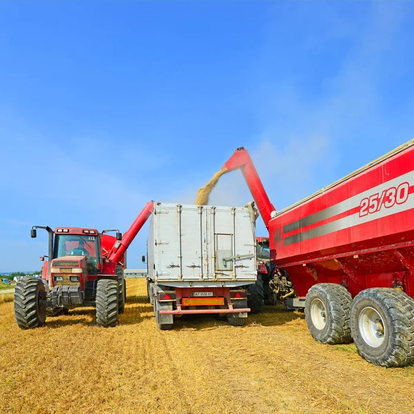 Overloading Grain Harvester Grain Tank Tractor Trailer — Stock Photo, Image