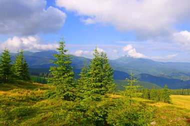 Dağları ve mavi gökyüzü olan güzel bir manzara.