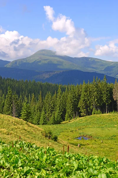 Krásná Krajina Horami Modrá Obloha — Stock fotografie