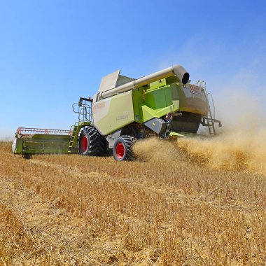 Buğday tarlasında çalışan hasatçıyı birleştirin, kırsal alanda hasat yapın.