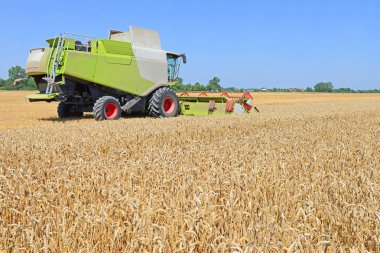 combine harvester working at wheat field, harvesting in the countryside