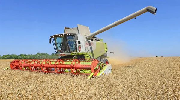 Combine Harvester Working Wheat Field Harvesting Countryside —  Fotos de Stock