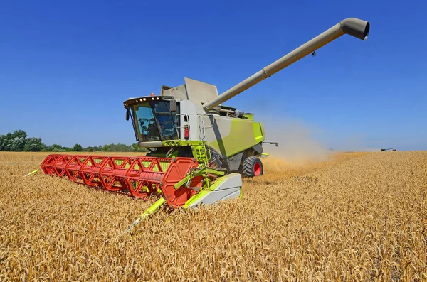 combine harvester working at wheat field, harvesting in the countryside