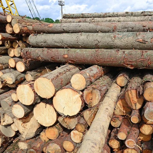 Preparation Wood Warehousing Industrial Landscape — Stock Photo, Image