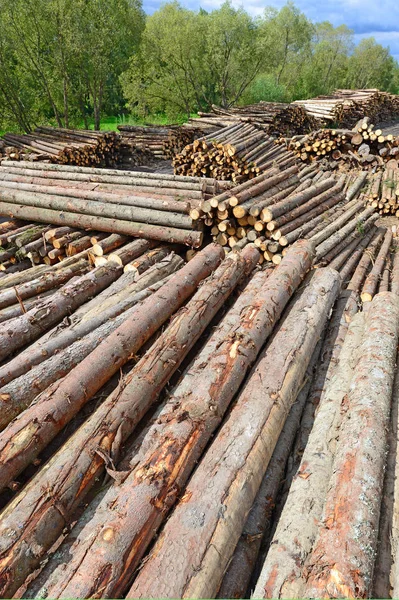 Preparazione Deposito Del Legno Paesaggio Industriale — Foto Stock