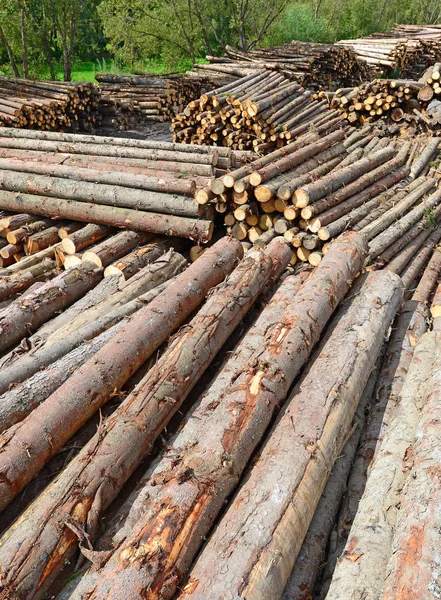 Voorbereiding Hout Opslag Een Industrieel Landschap — Stockfoto