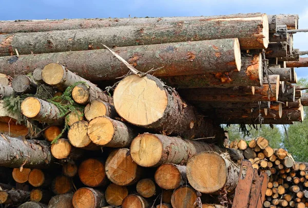 Voorbereiding Hout Opslag Een Industrieel Landschap — Stockfoto