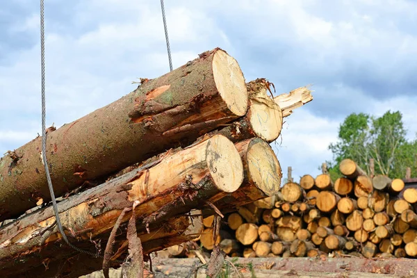 Preparation Wood Warehousing Industrial Landscape — Stock Photo, Image