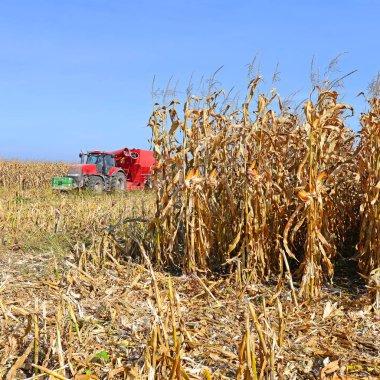 Tractor with a trailer to transport the grain to harvest corn.