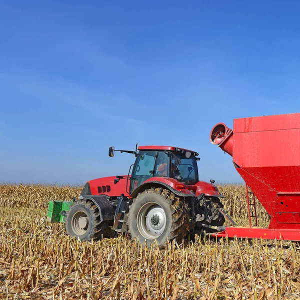 Tracteur Avec Remorque Pour Transporter Grain Récolte Maïs — Photo