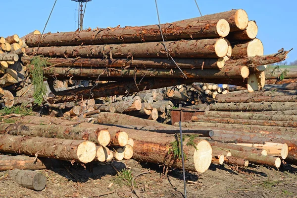 制备及木材仓储工业景观 — 图库照片