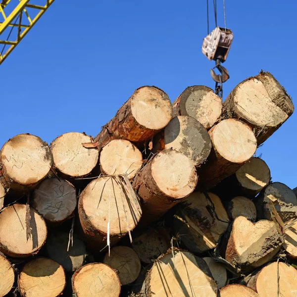 Preparación Almacenamiento Madera Paisaje Industrial — Foto de Stock