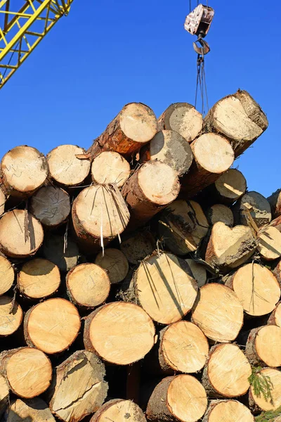 準備と産業景観で木材倉庫 — ストック写真