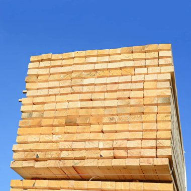 Sörf tahtalarını dizer