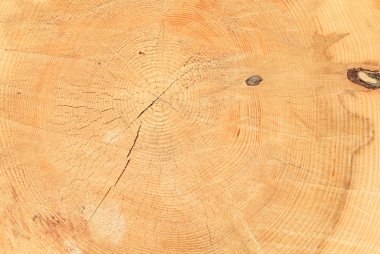 Doğal ahşap doku arka planı