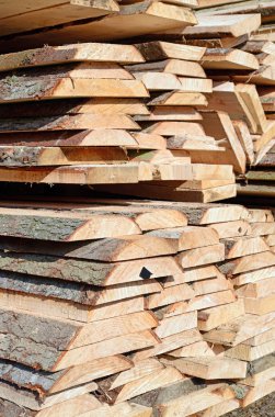 Sörf tahtalarını dizer